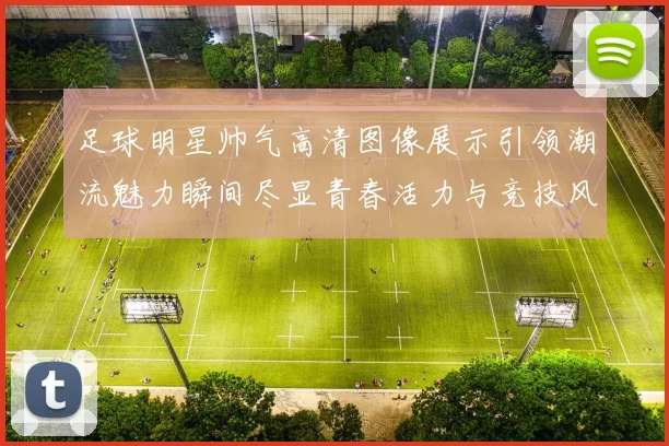 足球明星帅气高清图像展示引领潮流魅力瞬间尽显青春活力与竞技风范