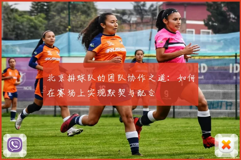 北京排球队的团队协作之道：如何在赛场上实现默契与配合