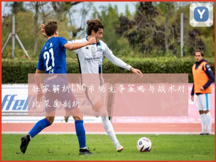 独家解析LNG市场竞争策略与战术对比深度剖析