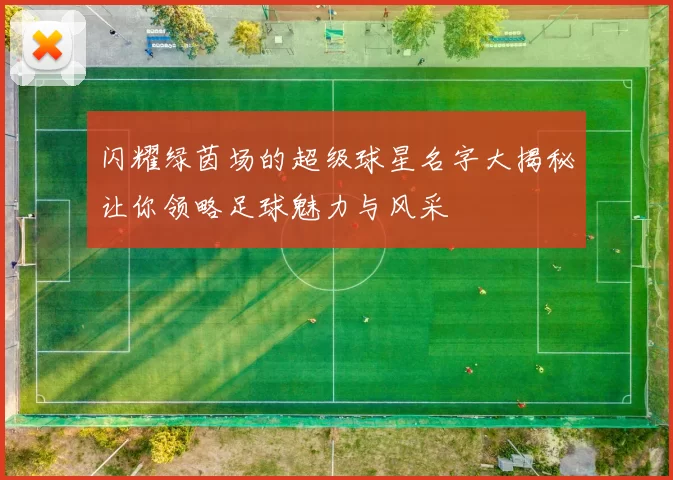 闪耀绿茵场的超级球星名字大揭秘让你领略足球魅力与风采