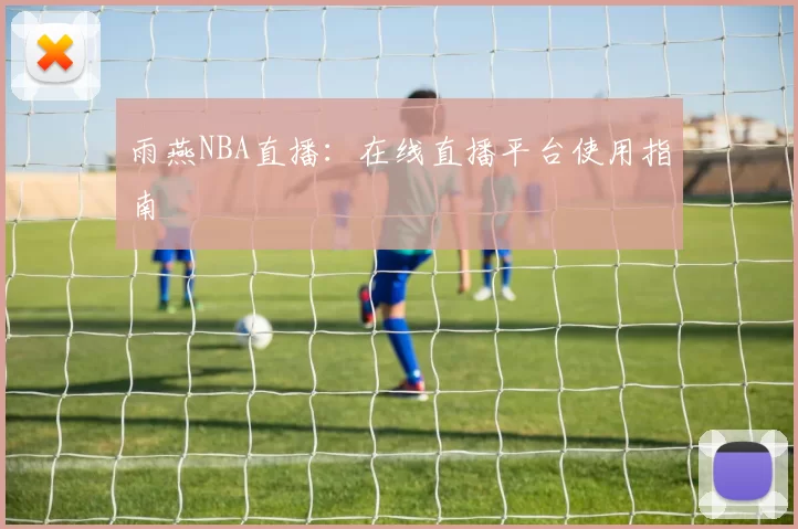 雨燕NBA直播：在线直播平台使用指南