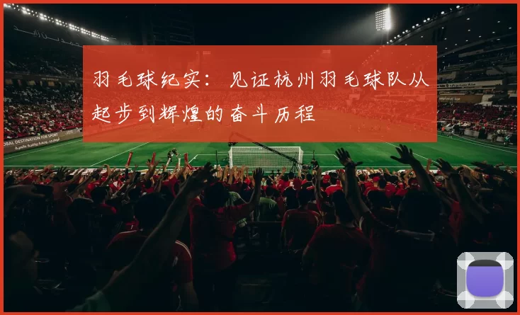 羽毛球纪实：见证杭州羽毛球队从起步到辉煌的奋斗历程
