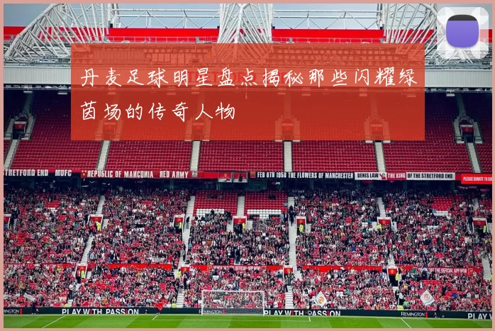 丹麦足球明星盘点揭秘那些闪耀绿茵场的传奇人物