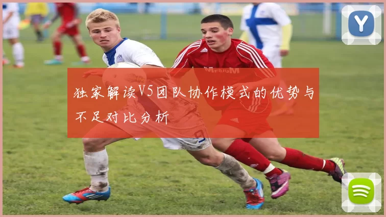 独家解读V5团队协作模式的优势与不足对比分析