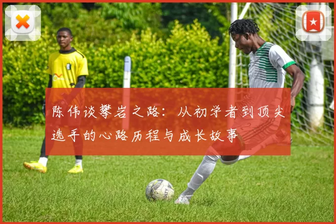 陈伟谈攀岩之路：从初学者到顶尖选手的心路历程与成长故事