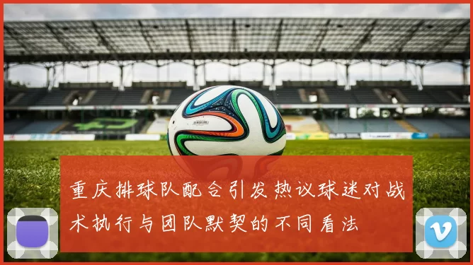 重庆排球队配合引发热议球迷对战术执行与团队默契的不同看法