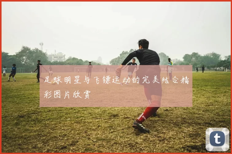 足球明星与飞镖运动的完美结合精彩图片欣赏