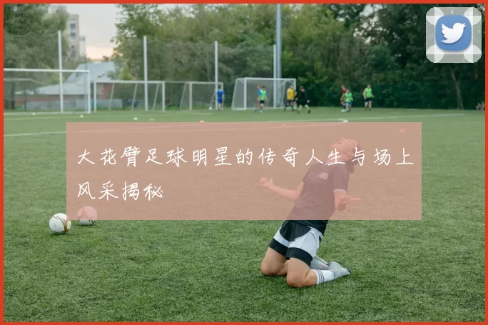 大花臂足球明星的传奇人生与场上风采揭秘