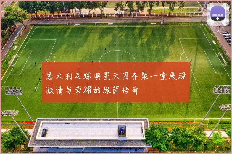 意大利足球明星天团齐聚一堂展现激情与荣耀的绿茵传奇