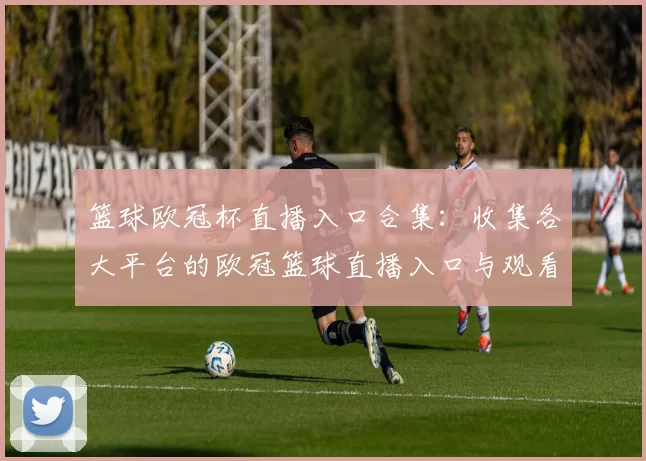 篮球欧冠杯直播入口合集：收集各大平台的欧冠篮球直播入口与观看方式