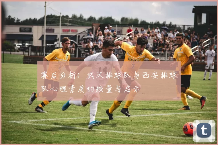 赛后分析：武汉排球队与西安排球队心理素质的较量与启示
