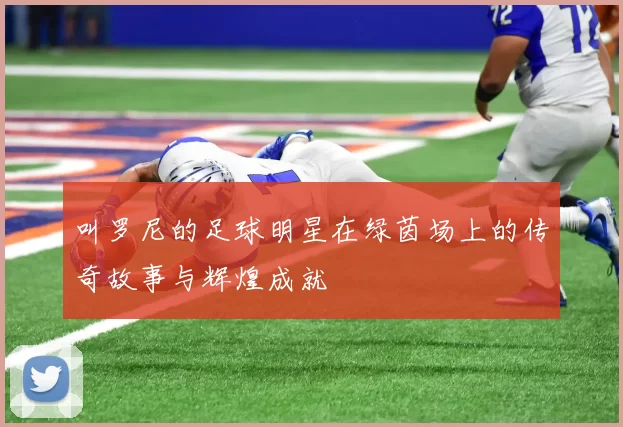 叫罗尼的足球明星在绿茵场上的传奇故事与辉煌成就