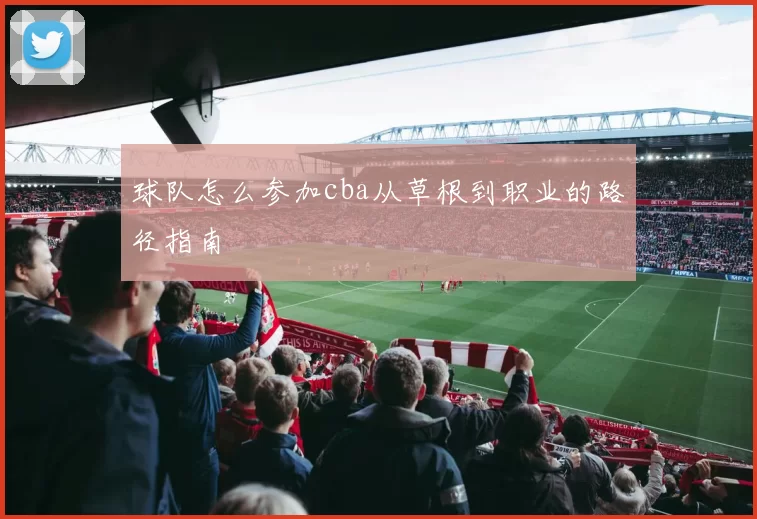 球队怎么参加cba从草根到职业的路径指南