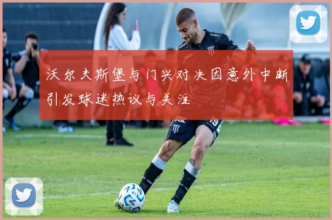 沃尔夫斯堡与门兴对决因意外中断引发球迷热议与关注