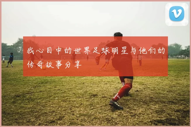 我心目中的世界足球明星与他们的传奇故事分享