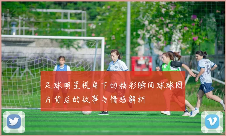 足球明星视角下的精彩瞬间球球图片背后的故事与情感解析