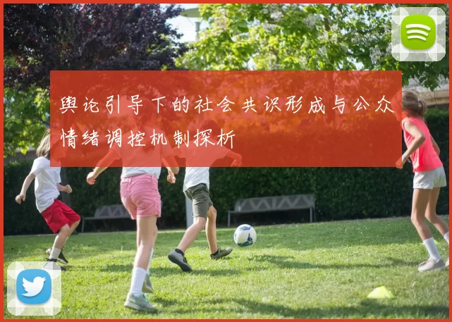 舆论引导下的社会共识形成与公众情绪调控机制探析