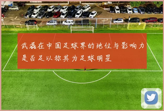 武磊在中国足球界的地位与影响力是否足以称其为足球明星