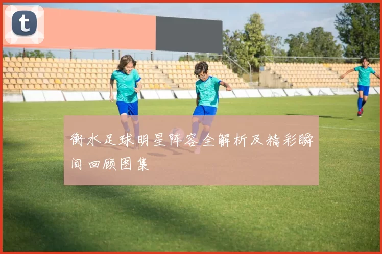衡水足球明星阵容全解析及精彩瞬间回顾图集