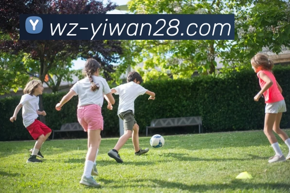 多媒体互动体验